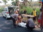 Evakuasi korban kecelakaan maut di Sambeng, Lamongan. Evakuasi korban kecelakaan maut di Sambeng, Lamongan.