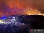 anadolu spain wildfire.jpg