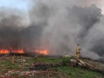 Petugas Damkar memadamkan kebakaran lahan di Desa Gadingwatu, Kecamatan Menganti, Gresik. Petugas Damkar memadamkan kebakaran lahan di Desa Gadingwatu, Kecamatan Menganti, Gresik.