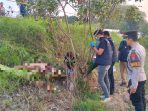 Polisi mengevakuasi jasad korban. (Foto: Ist)