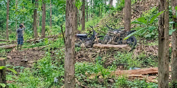 Dugaan illegal logging di KPH Bojonegoro.