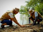 Insan Petrokimia Gresik saat penanaman mangrove di Mengare, Gresik.