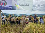 Panen raya padi di Dairi. Panen raya padi di Dairi.