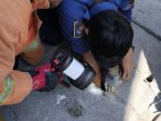 Aksi petugas Damkar Gresik yang berusaha mengevakuasi HP dari bawah selokan. (Foto: Ist)