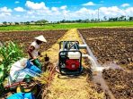 Seorang petani di Desa Mabung, Kecamatan Baron, Nganjuk, menggunakan mesin pompa air persawahan yang telah dimodifikasi menggunakan bahan bakar gas LPG 3 kg.