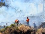 Petugas gabungan padamkan kebakaran hutan.