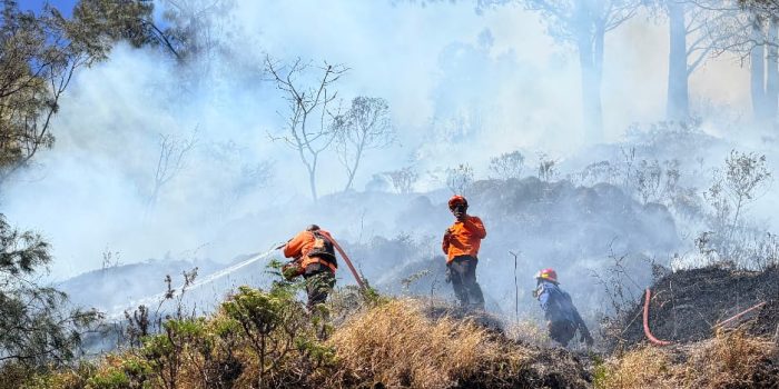 Petugas gabungan padamkan kebakaran hutan.