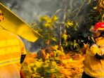 Petugas Damkarmat Pos saat memadamkan kebakaran rumpun bambu di belakang rumah warga Desa Jogomerto