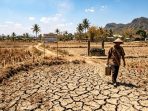 IMG-20260819-WA0039 Ilustrasi Kondisi lahan gersang di Kabupaten Nganjuk akibat fenomena Hari Tanpa Hujan (HTH) ekstrem yang telah berlangsung lebih dari 60 hari.