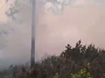 Kepulan asap titik kebakaran lereng gunung Arjuno