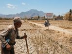 IMG-20260820-WA0023 Ilustrasi seorang warga melintas di area persawahan yang mulai mengering di Kabupaten Nganjuk.