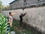 IMG-20260821-WA0029 Petugas saat melakukan Olah Tempat Kejadian Perkara (TKP) di gudang hasil bumi Desa Karangsono, Kecamatan Loceret.
