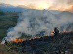 Kebakaran di kawasan kawah wurung Bondowoso.