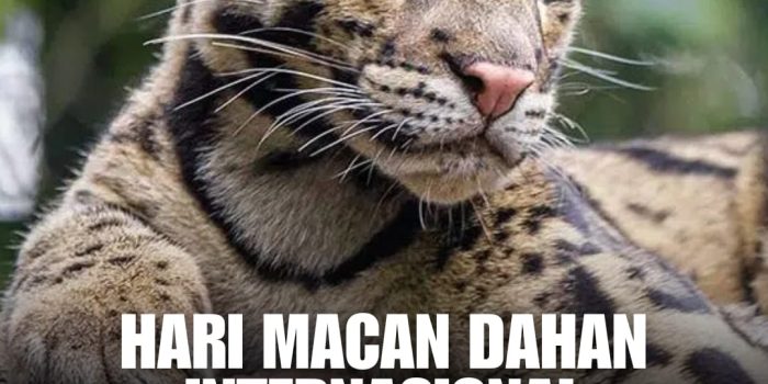 WhatsApp Image 2026 08 04 at 7.21.04 AM