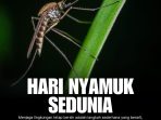 WhatsApp Image 2026 08 20 at 6.10.13 AM