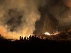 Kebakaran Bromo Kebakaran Bromo