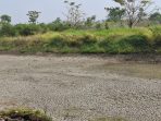 Kondisi salah satu waduk di Gresik yang mengering saat musim kemarau. Kondisi salah satu waduk di Gresik yang mengering saat musim kemarau.