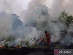 pemadaman-kebakaran-lahan-di-pulau-semambu-ogan-ilir-2842511 pemadaman kebakaran lahan di pulau semambu ogan ilir 2842511