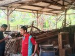 Kandang komunal milik Poktan Bina Usaha Mandiri, Dusun Brayung, Desa Sumberurip, Berbek, Nganjuk (Agus)